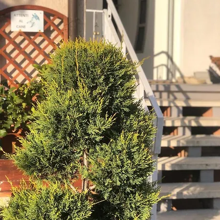 住宿加早餐酒店 Diana