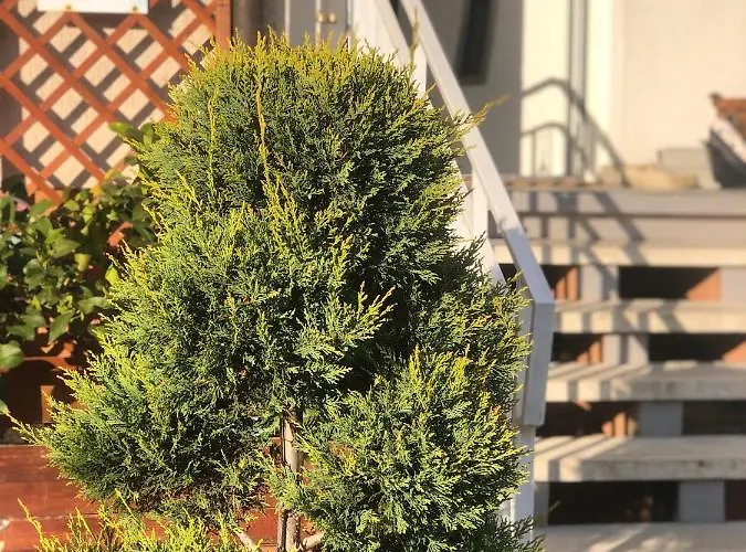 Bed & Breakfast Diana